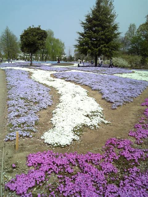 �܂邶��@�܂邶��@����܂���