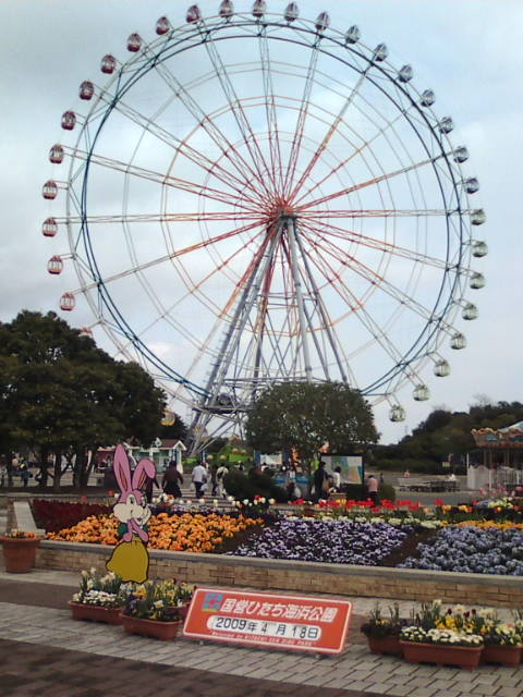 �܂邶��@�܂邶��@����܂���