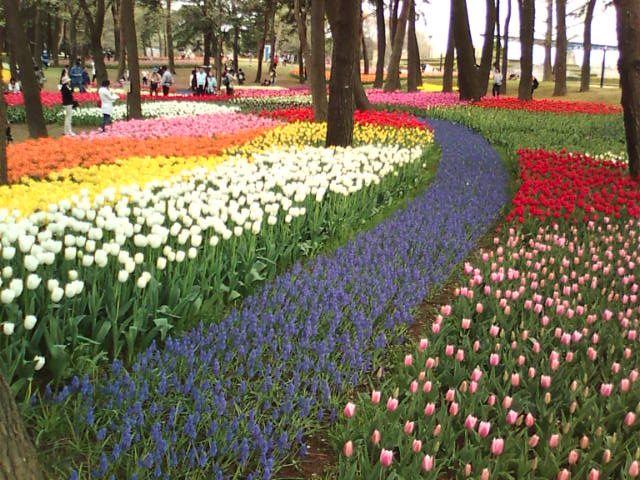 �܂邶��@�܂邶��@����܂���