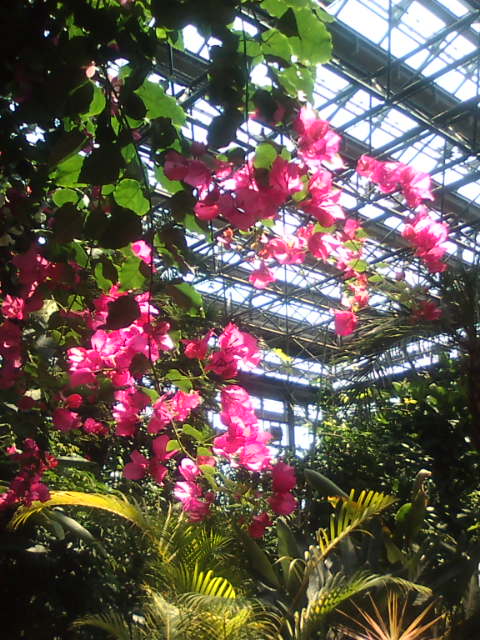 �܂邶��@�܂邶��@����܂���