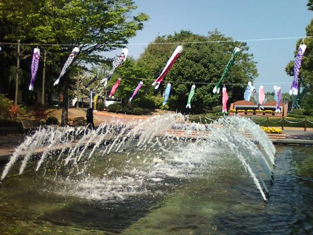 �܂邶��@�܂邶��@����܂���