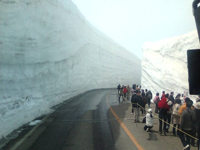 �܂邶��@�܂邶��@����܂���