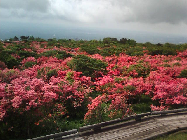 �܂邶��@�܂邶��@����܂���