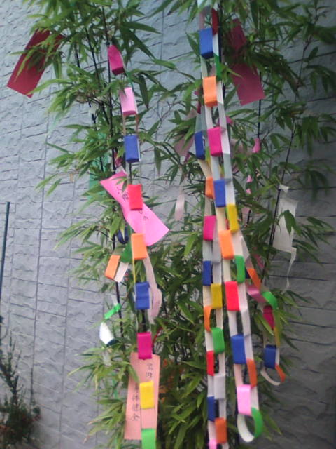 �܂邶��@�܂邶��@����܂���