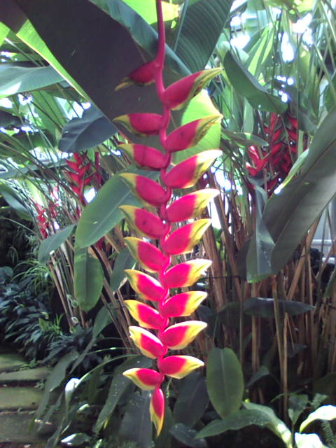 �܂邶��@�܂邶��@����܂���