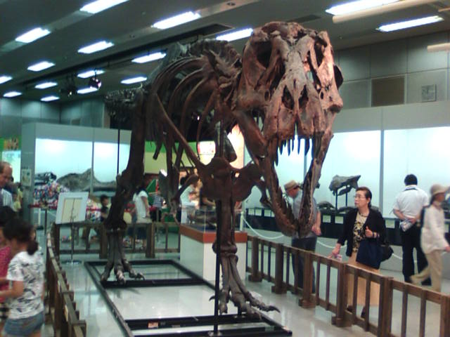 �܂邶��@�܂邶��@����܂���