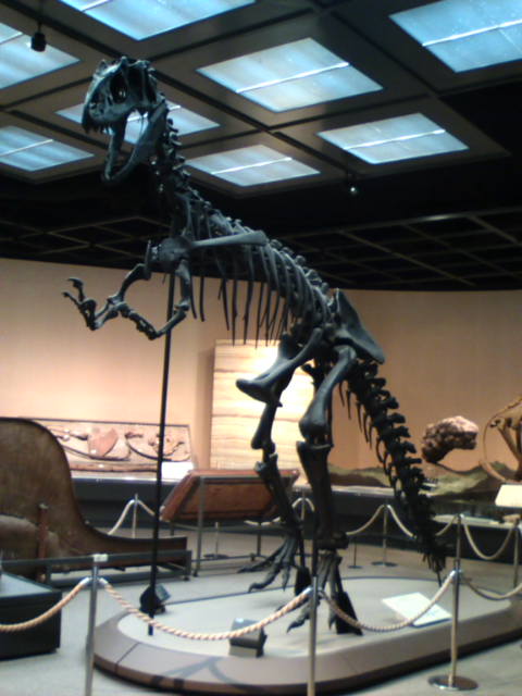 �܂邶��@�܂邶��@����܂���