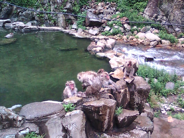 �܂邶��@�܂邶��@����܂���