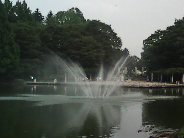 �܂邶��@�܂邶��@����܂���