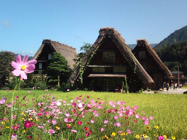 �܂邶��@�܂邶��@����܂���