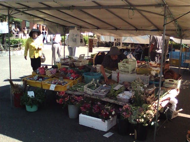 �܂邶��@�܂邶��@����܂���