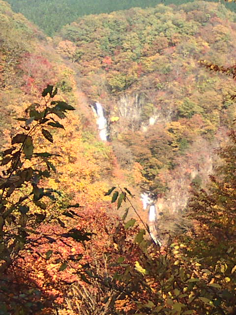 �܂邶��@�܂邶��@����܂���