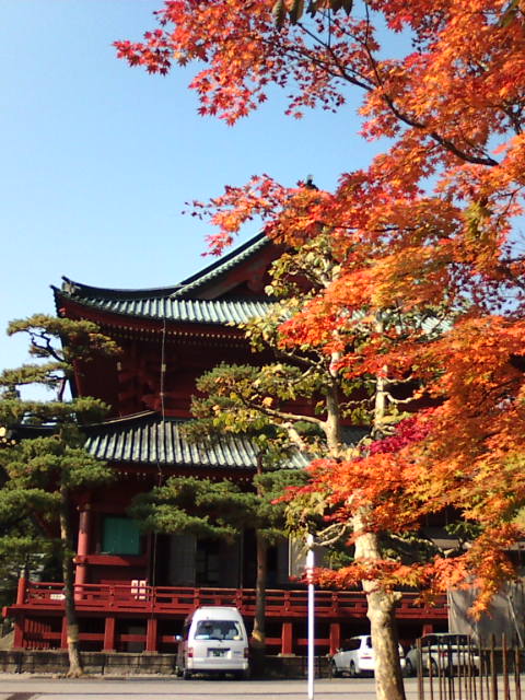 �܂邶��@�܂邶��@����܂���