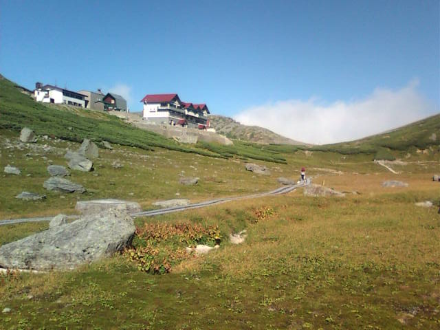 �܂邶��@�܂邶��@����܂���