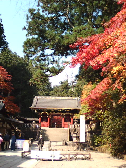 �܂邶��@�܂邶��@����܂���