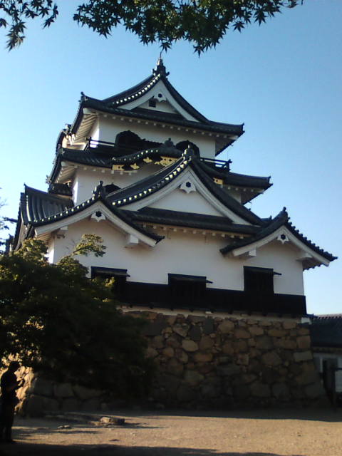 �܂邶��@�܂邶��@����܂���