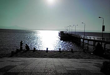 �܂邶��@�܂邶��@����܂���