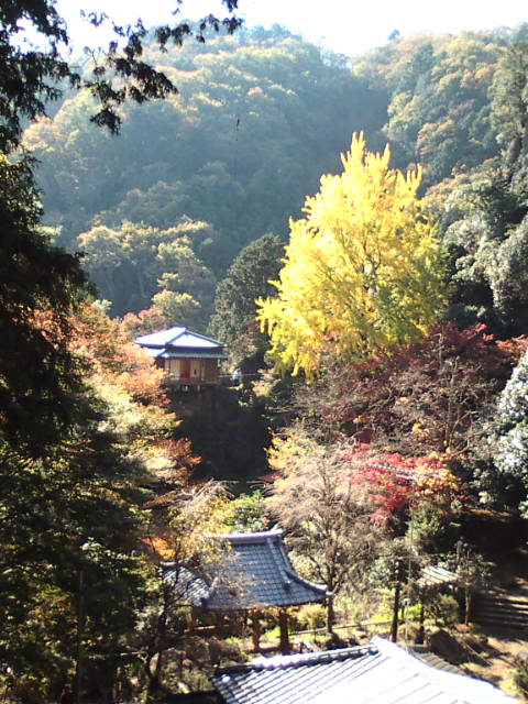 �܂邶��@�܂邶��@����܂���