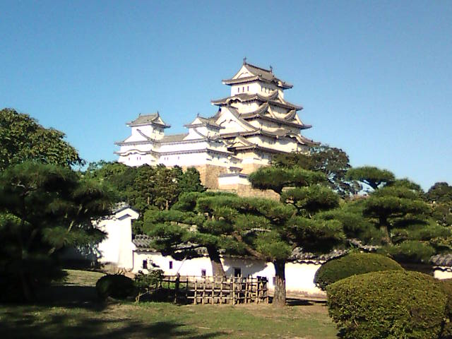 �܂邶��@�܂邶��@����܂���