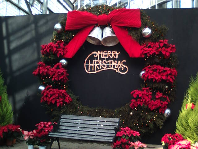 �܂邶��@�܂邶��@����܂���