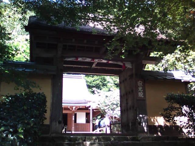 �܂邶��@�܂邶��@����܂���