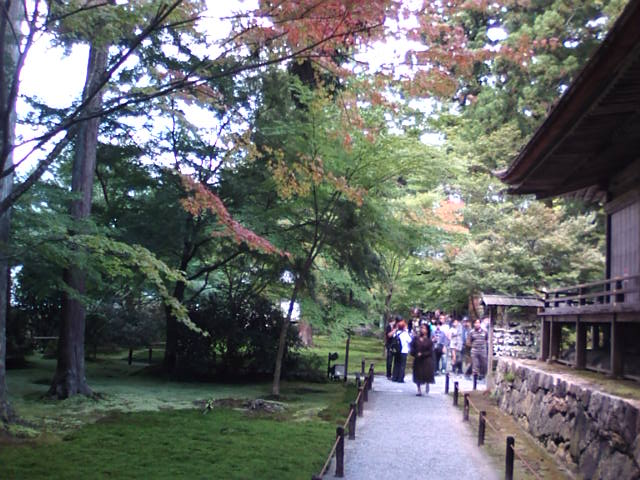 �܂邶��@�܂邶��@����܂���