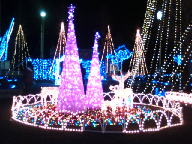 �܂邶��@�܂邶��@����܂���