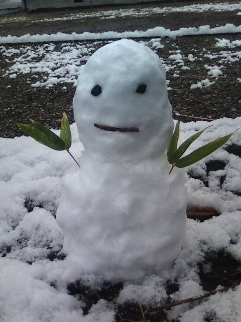 �܂邶��@�܂邶��@����܂���