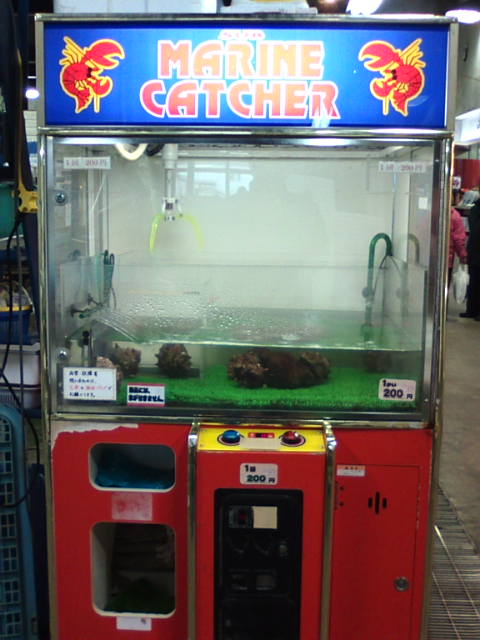 �܂邶��@�܂邶��@����܂���