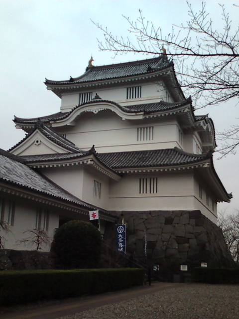 �܂邶��@�܂邶��@����܂���