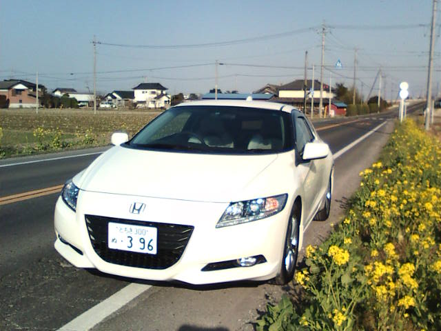 �܂邶��@�܂邶��@����܂���