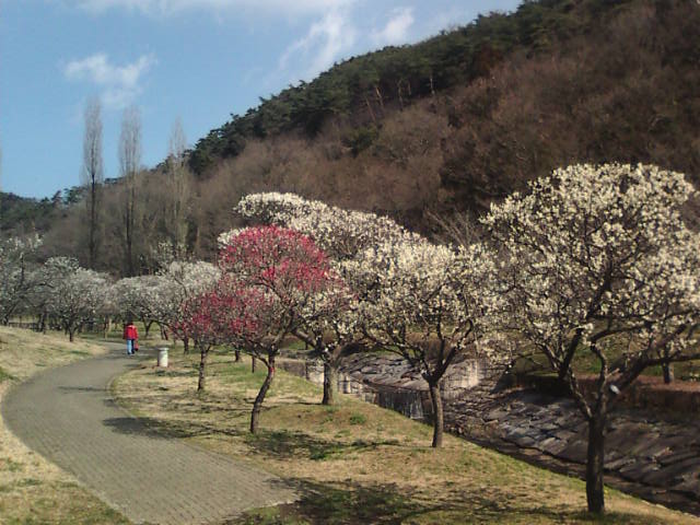 �܂邶��@�܂邶��@����܂���