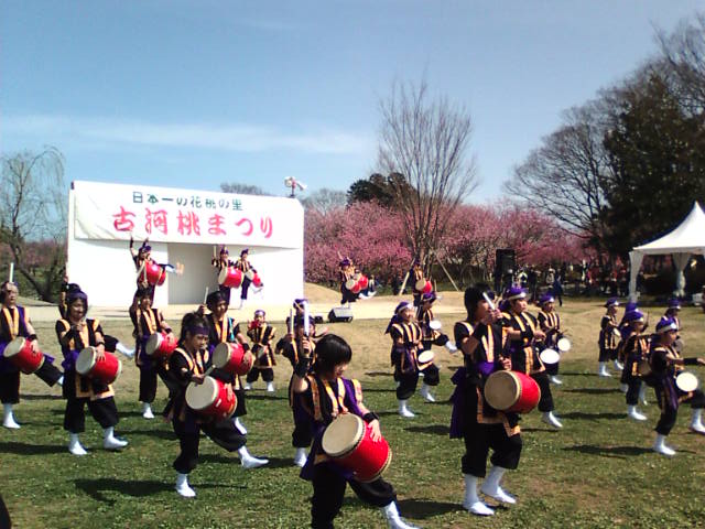 �܂邶��@�܂邶��@����܂���