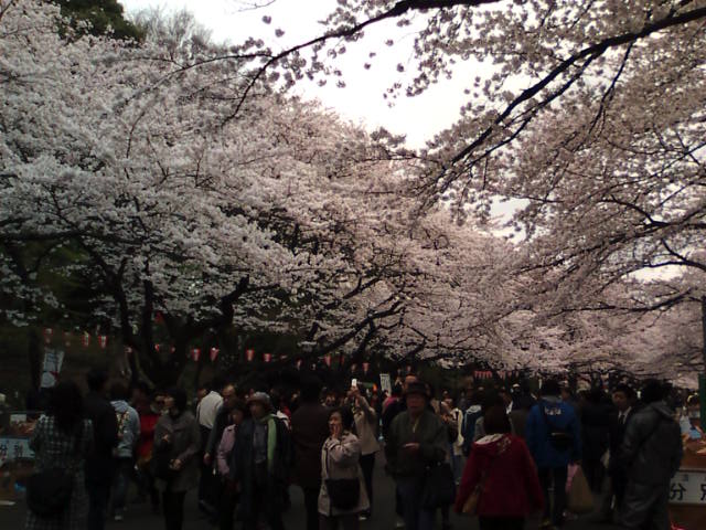 �܂邶��@�܂邶��@����܂���