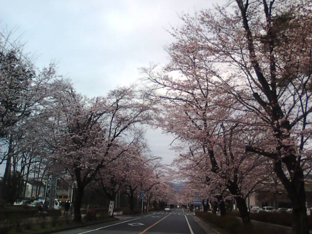 �܂邶��@�܂邶��@����܂���