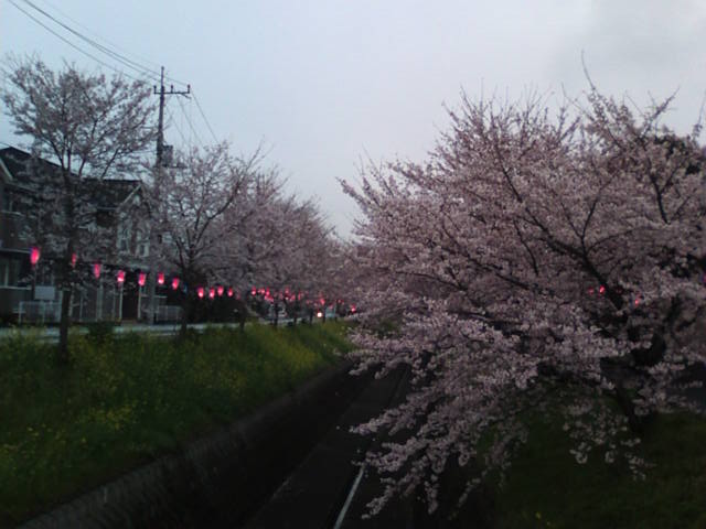 �܂邶��@�܂邶��@����܂���