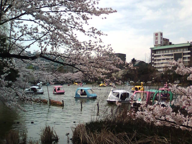 �܂邶��@�܂邶��@����܂���