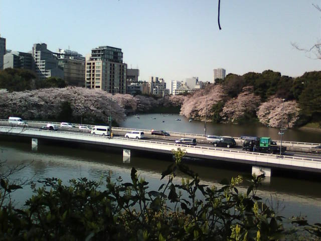 �܂邶��@�܂邶��@����܂���