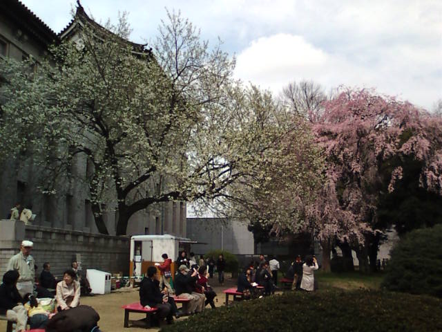 �܂邶��@�܂邶��@����܂���