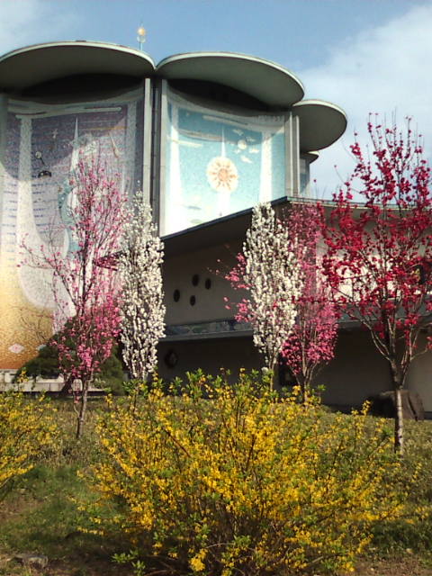 �܂邶��@�܂邶��@����܂���