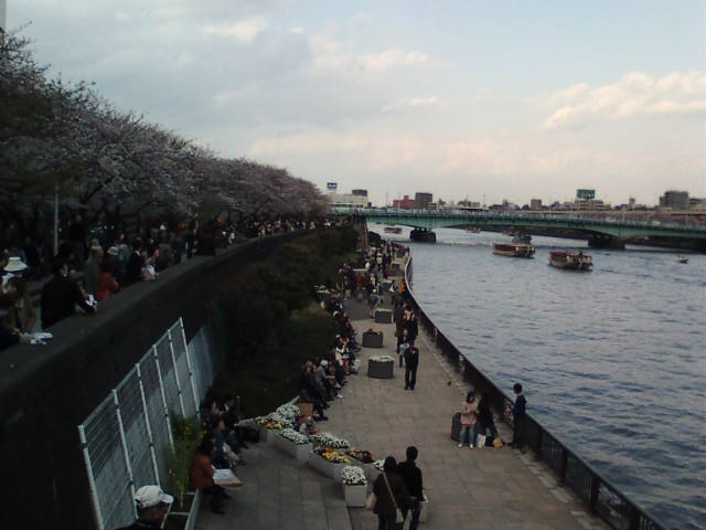 �܂邶��@�܂邶��@����܂���