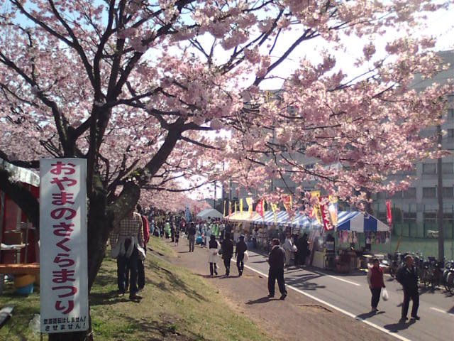 �܂邶��@�܂邶��@����܂���