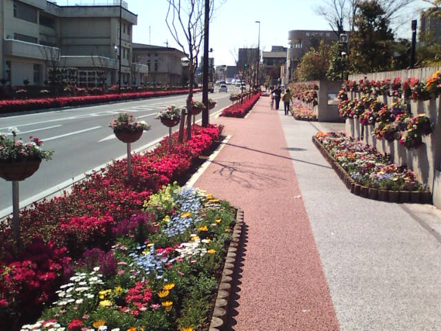 �܂邶��@�܂邶��@����܂���