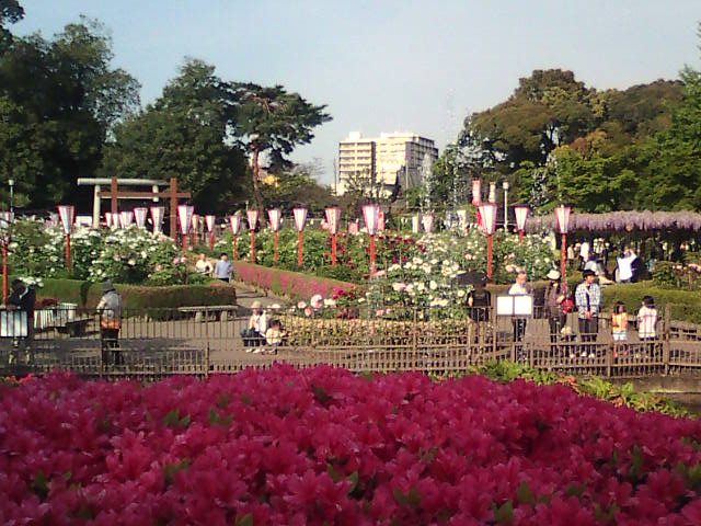 �܂邶��@�܂邶��@����܂���