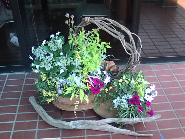 �܂邶��@�܂邶��@����܂���