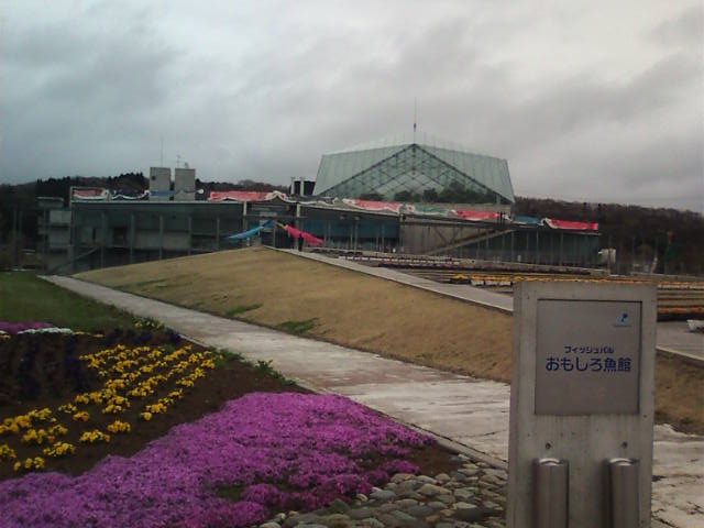 �܂邶��@�܂邶��@����܂���