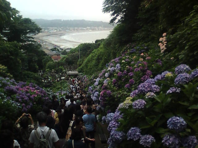 �܂邶��@�܂邶��@����܂���