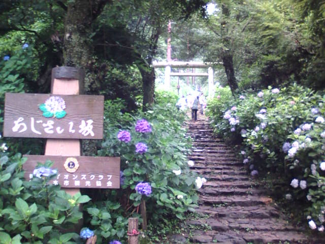 �܂邶��@�܂邶��@����܂���