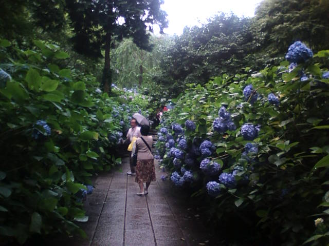 �܂邶��@�܂邶��@����܂���