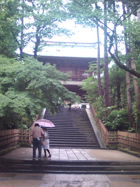 �܂邶��@�܂邶��@����܂���